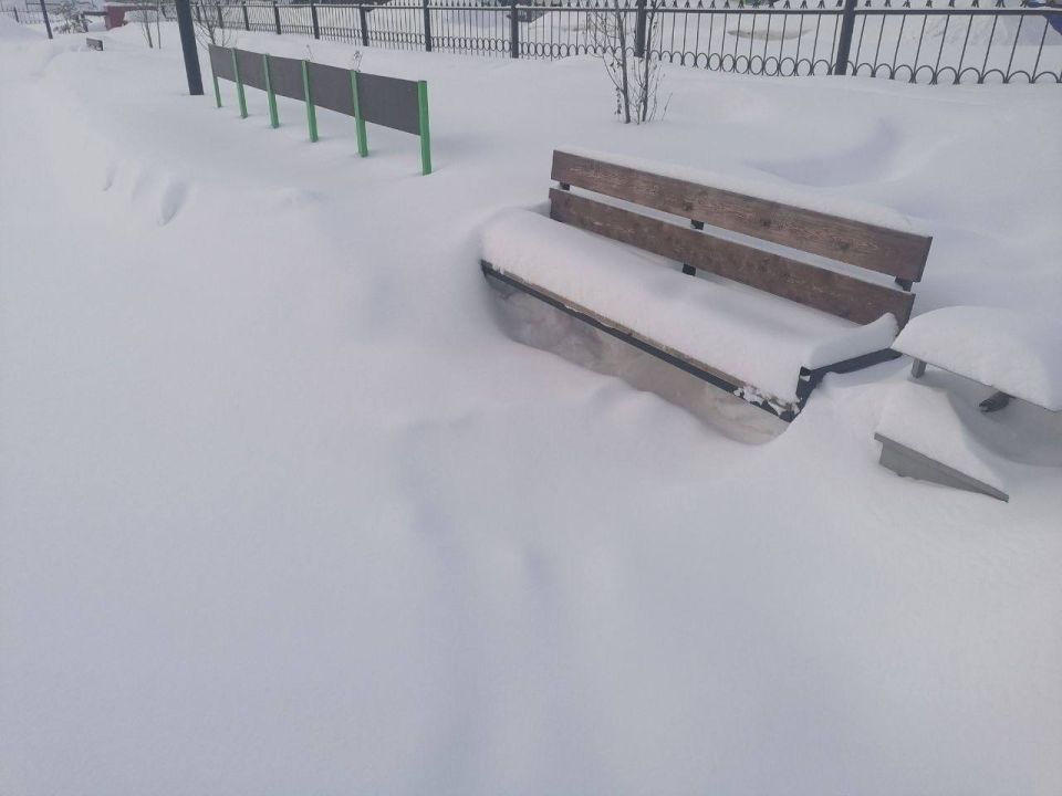Благодаря вмешательству прокуратуры произведена уборка снега в центральном парке города Черепаново Новосибирской области