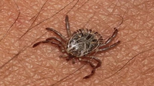 ��� ���������� �� ������: ����������� ������ ��� ������ �� �������