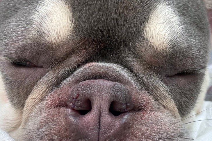 ������ ������������ �������� ��������� �������� ������� � ������������