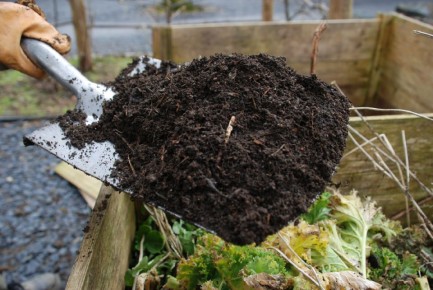 ��� ������ ����� ���� �������� ��� �������� ������� �������