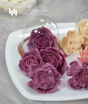 ��������� ���������: ��������� ������ ������ �� ������, ������ � �������