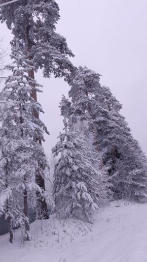 ������ ����: ��� ��������� ���������� ������ ��� ����� ����