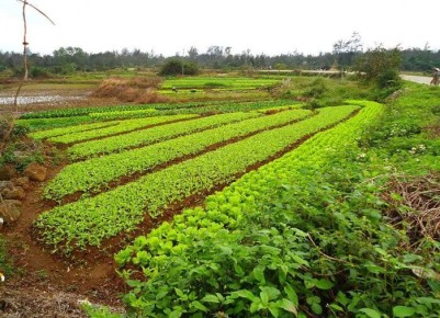 ��� ����� �������� � ����� ��� �����?