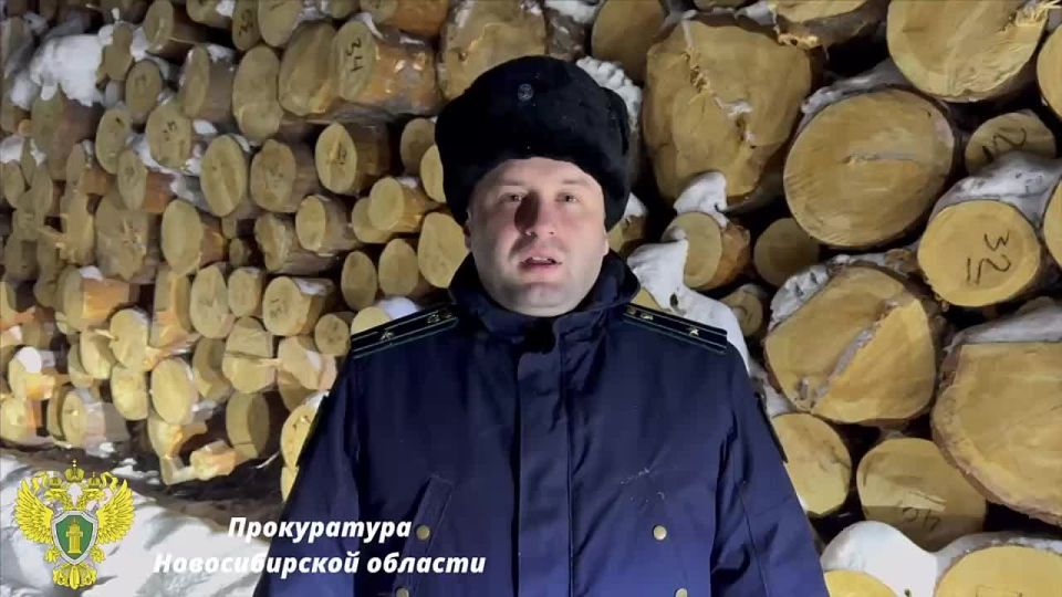 1234567. Вдруг как в сказке скрипнула дверь, кто спилил лес знаем теперь: по