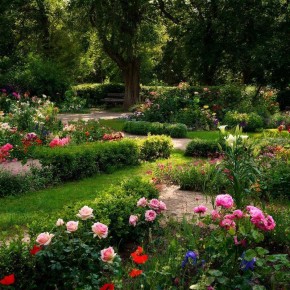 ������� �������������: ��� �������� �������� �� ������ �������