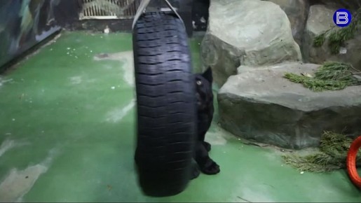 �������� � ����. � ������������� �������� ����� �������� ������� ��������� ���