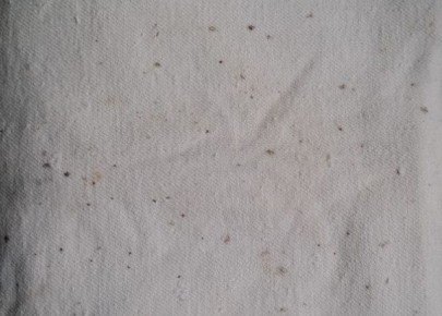 ��� � ��� ��������� ������� � ������ � �� ��������� �����