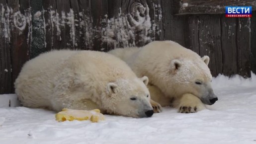 ������� ���. � ������������� �������� ����� ��������� ����� � ������� �������� ���� ������ ��������� �������� ��� �, ������ ������, �������� ��� ��, ��� ����������� ������������ � ������ ����