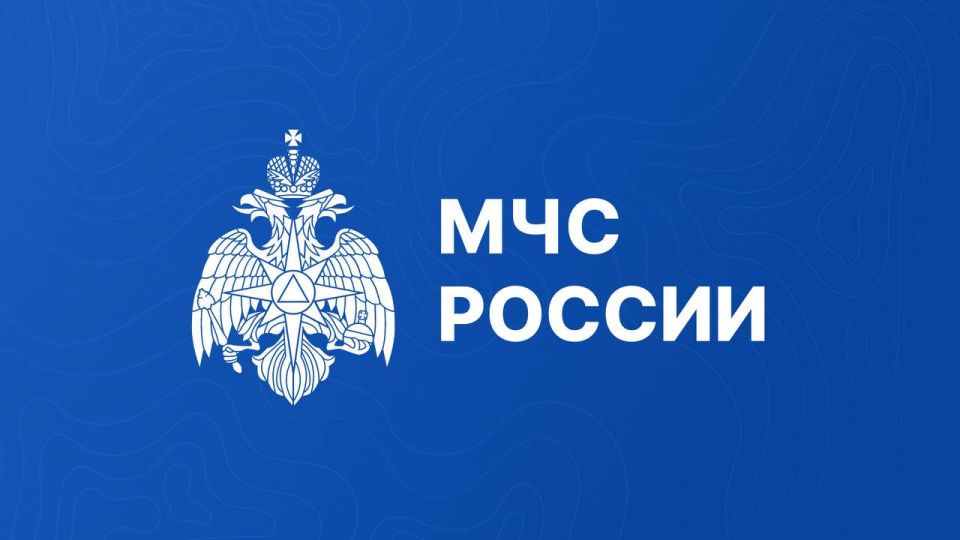 Осторожно, мошенники!. От лица руководства Главного управления МЧС России по Новосибирской области поступают сообщения действующим и бывшим сотрудникам подразделений о сборе персональных данных