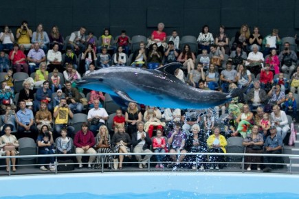 Верните мой 2016-й: чем Новосибирск жил десять лет назад