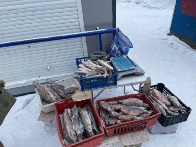 Более 30 кг продукции изъяли у нелегальных торговцев в Ленинском районе