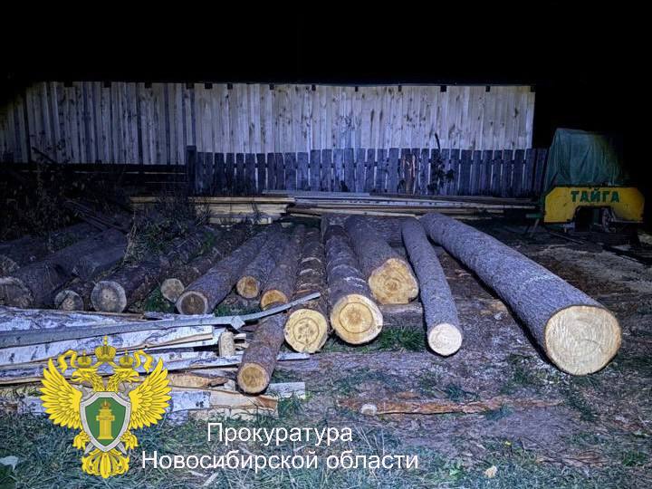 В Новосибирской области перед судом предстанет местный житель за незаконную рубку деревьев В Новосибирской области перед судом предстанет местный житель за незаконную рубку деревьев