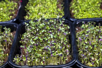 ��� ��������� ����������� ��������堗 ���������� ������� ��������������