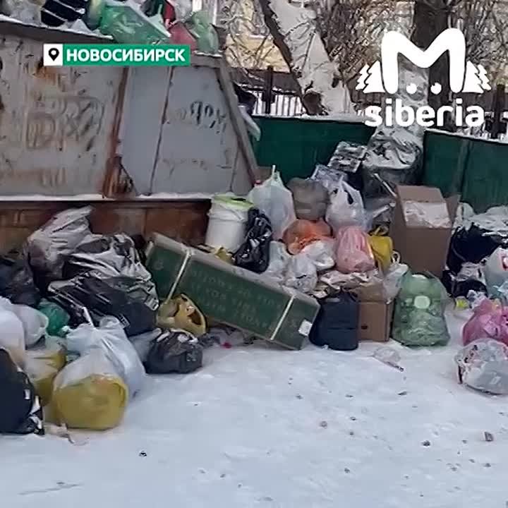 Мусорные горы снова образовались на Учительской в Новосибирске