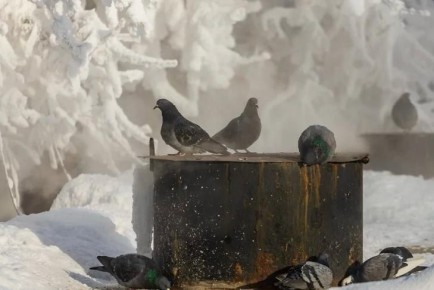 ������ �� 30 ��������: ������� ���� ������� ���������� � ����� ������-2026 � ������������