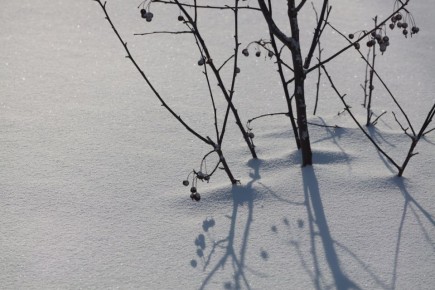 �26� ����� � �23� ������� � ����� ������� ��������� ��� �������������� ���� ���� ������