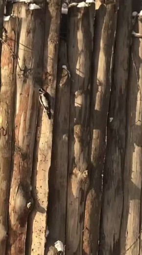  ������������� ������� ������� �������� ������������ �����