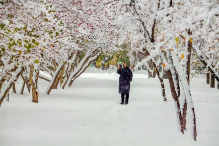 ������������ ��������� ���������� ���������� ������ ������