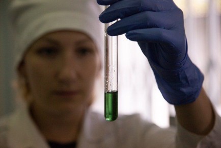 � ������������ �������� � ������ ������������ �������� �� ����� �� ����� �����