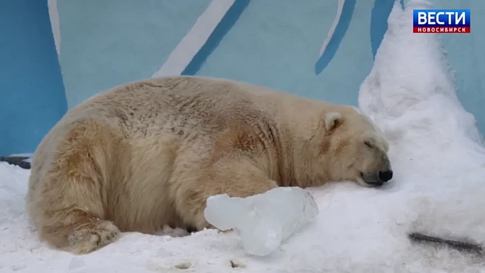 ����������� � �����. � ������������� �������� ����� ������� ��� ����� ���� ���� � ����� ������� ���� � ������������� ������� ������ �� �������