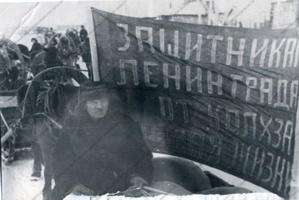 ���� ������ ������� ���������� ������� � ������������ 103 ����������