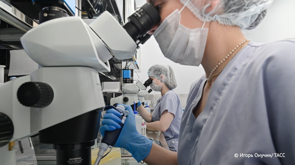 Новосибирские ученые получили соединение на основе смоляной кислоты хвойных деревьев, усиливающее эффект химиотерапии при глиобластоме