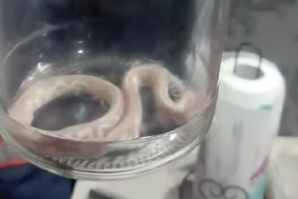 ������������ �����-�������� ������ �� ����� ����� ��� �������������