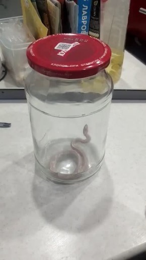 � �������� ��������� �������� � ����� ���������� ������