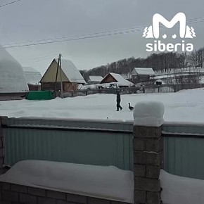 ������� �� ������ �������� ������� ����� � �� ��������������