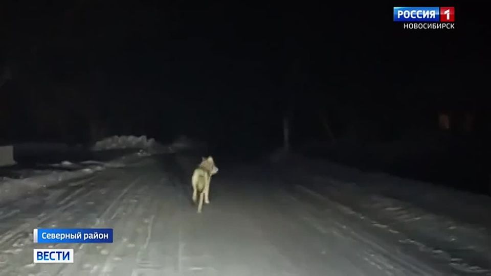 ����� �� ������. ������ ���� ������� � �������� ������ ������������� ������� ������ ������ �� ������