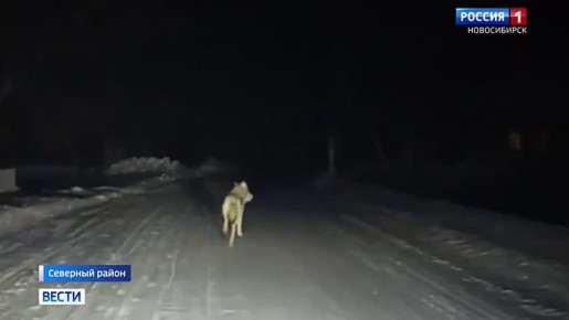 ����� �� ������. ������ ���� ������� � �������� ������ ������������� ������� ������ ������ �� ������