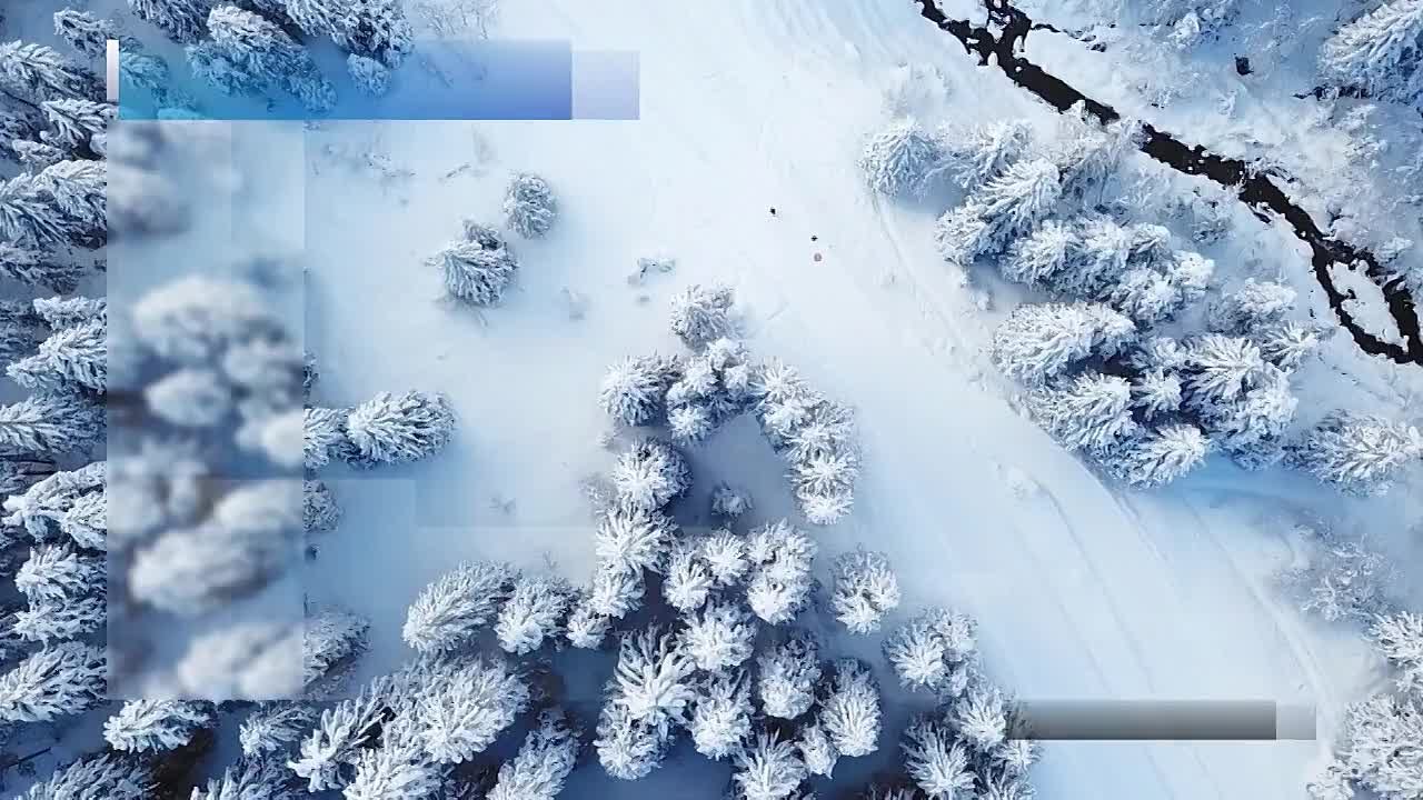 Вести Новосибирск