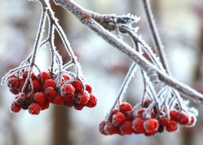 И снова утепляемся: сейчас в Новосибирске –26°, днём будет –20°, облачно