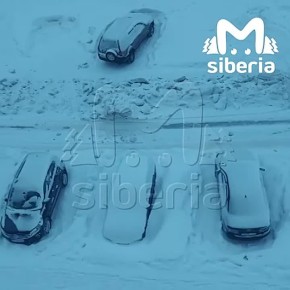 "��� ������, ��� ��� �� ��������? � � ����"