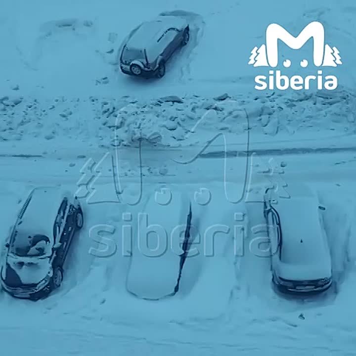 "Вот вообще, что это за свинство? Я в шоке"