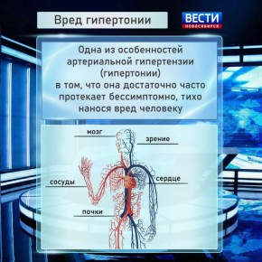 Не поддаваться давлению. По статистике российского Минздрава, заболевания сердечно-сосудистой системы держат уверенное лидерство среди населения страны
