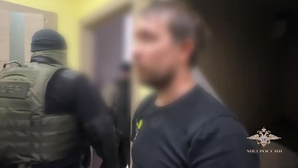 Ирина Волк: Мошенническую деятельность в сфере автострахования пресекли мои коллеги в городе Новосибирске