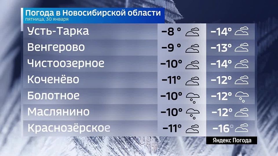 ����� �����������