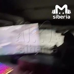 ������������� ������� ������� �� ���� � ��� ��� ��������������