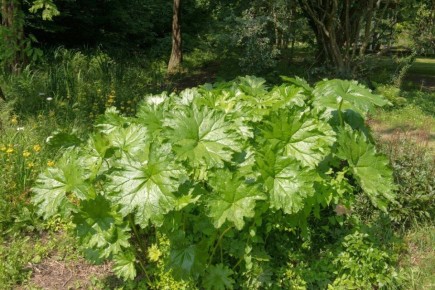 ������� ���������� � ������� ������ � ����������� �������, ������� ������������ � ����