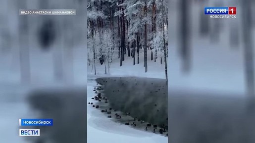 ������ ����. ��������� ����� ���������� � ������������ ������ ������������