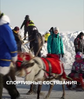 Построй своё иглу на берегу Обского моря!