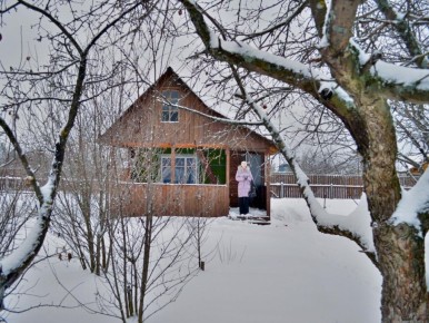 Как сохранить огород в феврале: секреты устойчивости растений к холодам