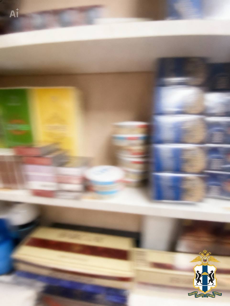 В Новосибирске полицейские пресекли реализацию контрафактной табачной продукции
