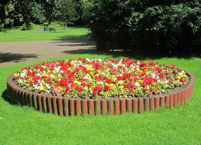 Семейный сад: создаем уникальный ландшафт с цветами вашего месяца рождения