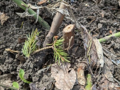 ����� �� ����� ������ �����, ���� ���� ������?