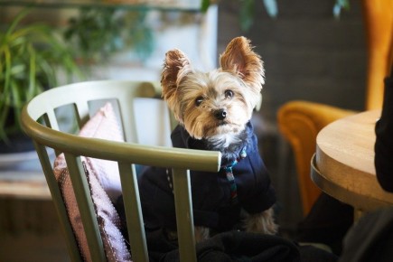 Посещение кафе в Кирове стало заметно дороже