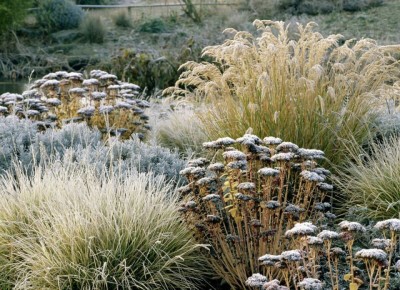 ��� ��������� �������� ������������ ����� �����: �������� ������������