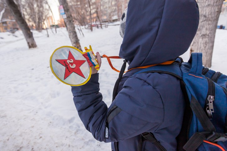 Ослабление морозов в феврале-2026 пообещали синоптики Новосибирска