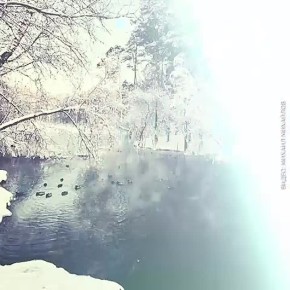 Долгожданное потепление пришло в Новосибирск